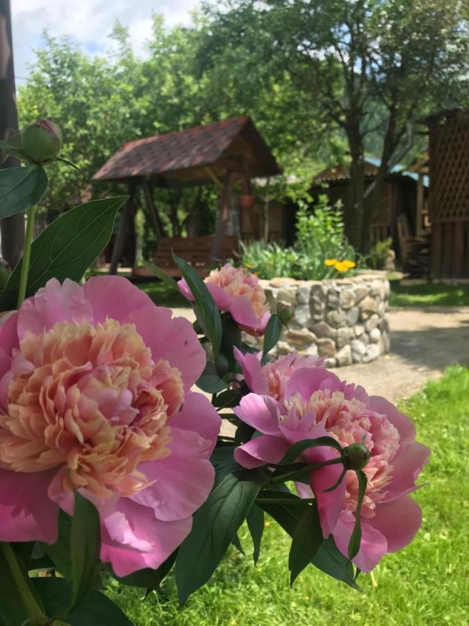 Садиба Диво Квітка Tatarów Zewnętrze zdjęcie